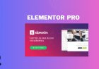 Elementor Pro v3.33.1-The Best Page Builder Plugin for WordPress