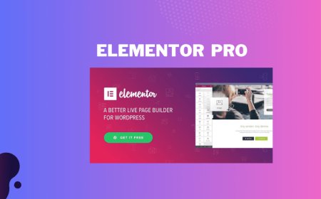 Elementor Pro v3.33.1-The Best Page Builder Plugin for WordPress