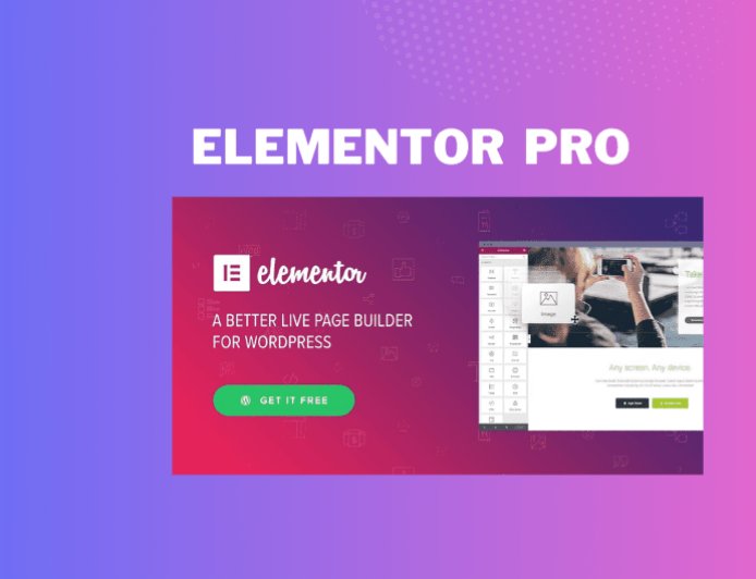Elementor Pro v3.33.1-The Best Page Builder Plugin for WordPress