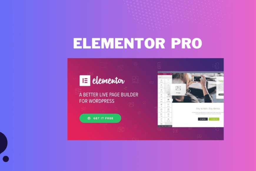 Elementor Pro v3.33.1-The Best Page Builder Plugin for WordPress