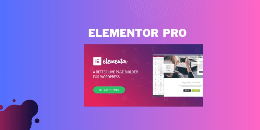 Elementor Pro v3.33.1-The Best Page Builder Plugin for WordPress